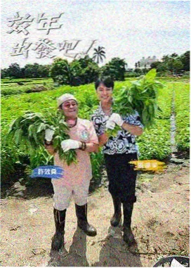 调教视频在线观看 资讯 纪实综艺拍摄周期